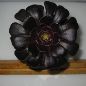 02_20030330-web