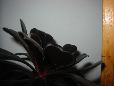03_20030330-web